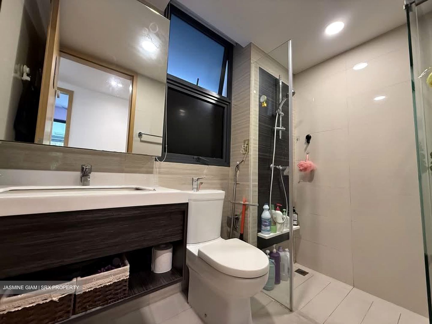 Blossom Residences (D23), Condominium #551604981